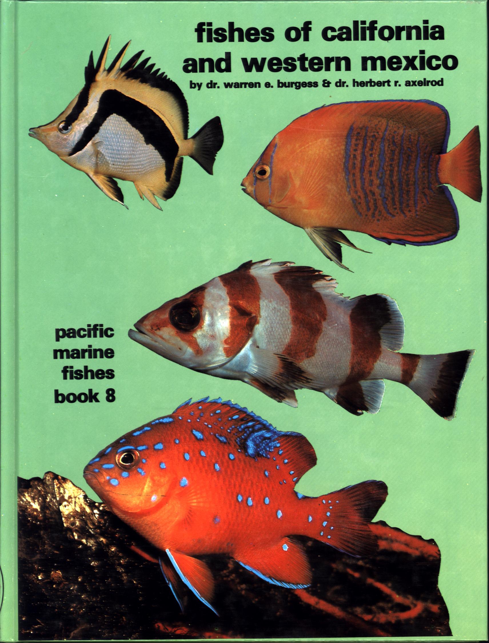 FISHES OF CALIFORNIA AND WESTERN MEXICO: Pacific marine fishes, Book 8 (California & Western Mexico). tfhp6102a